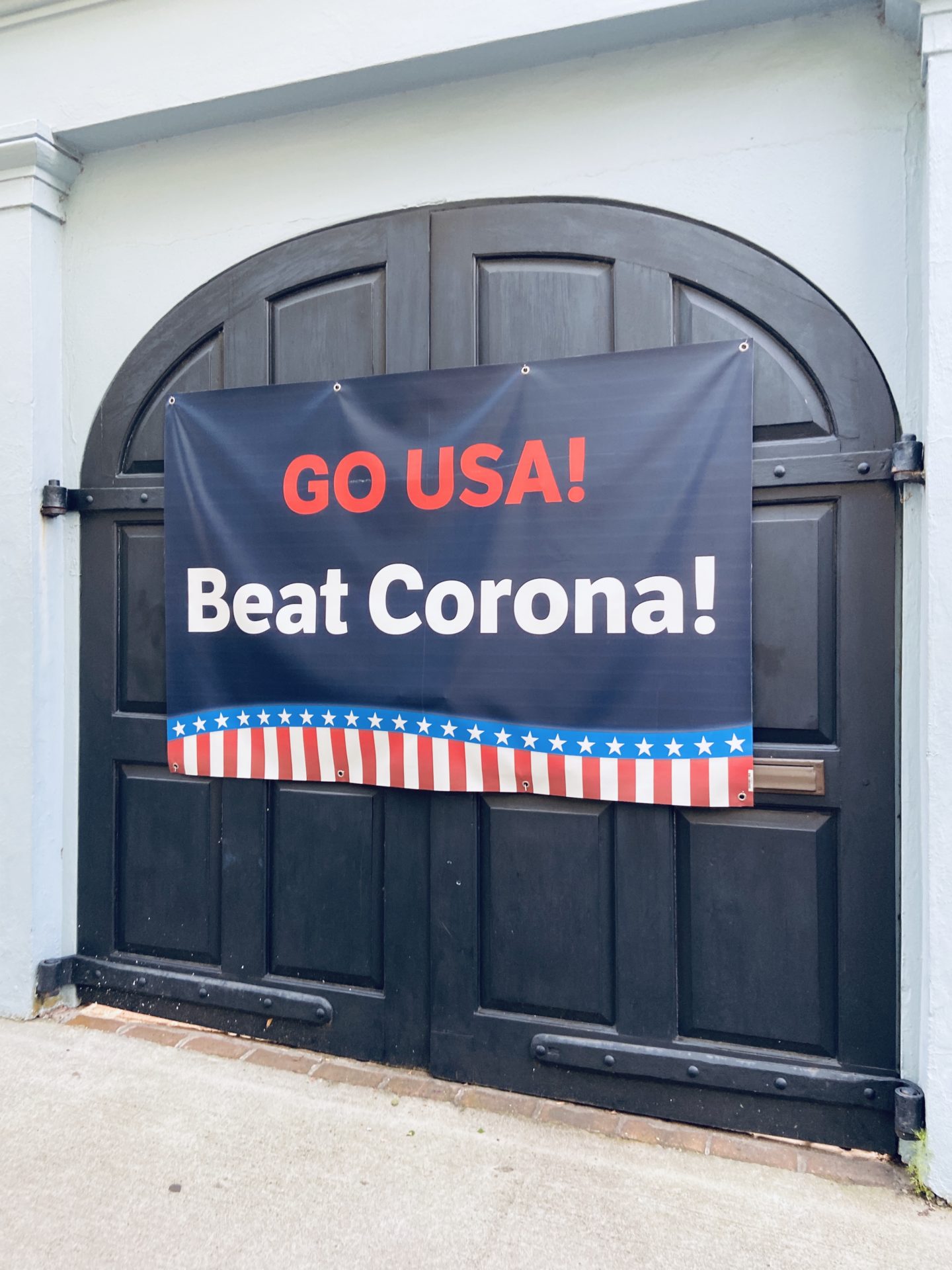 charleston rainbow row coronavirus banner