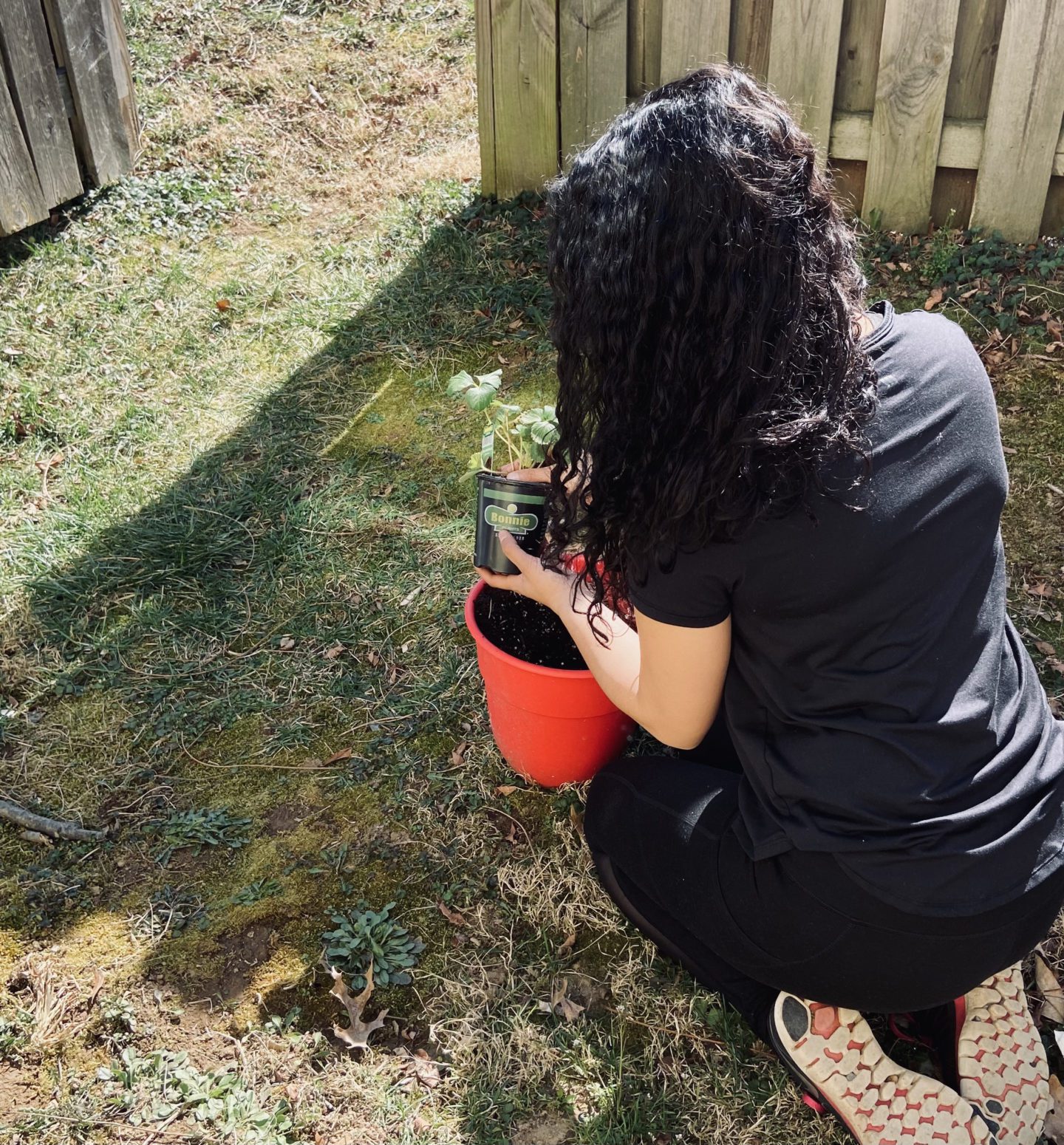 container garden tour