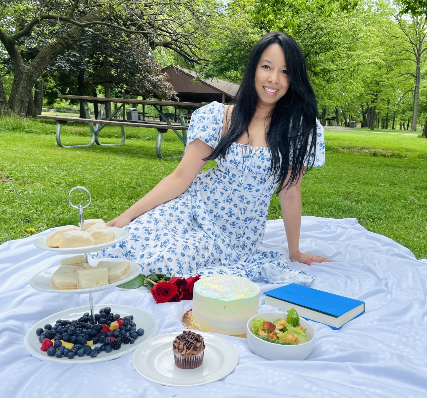 luxury picnic