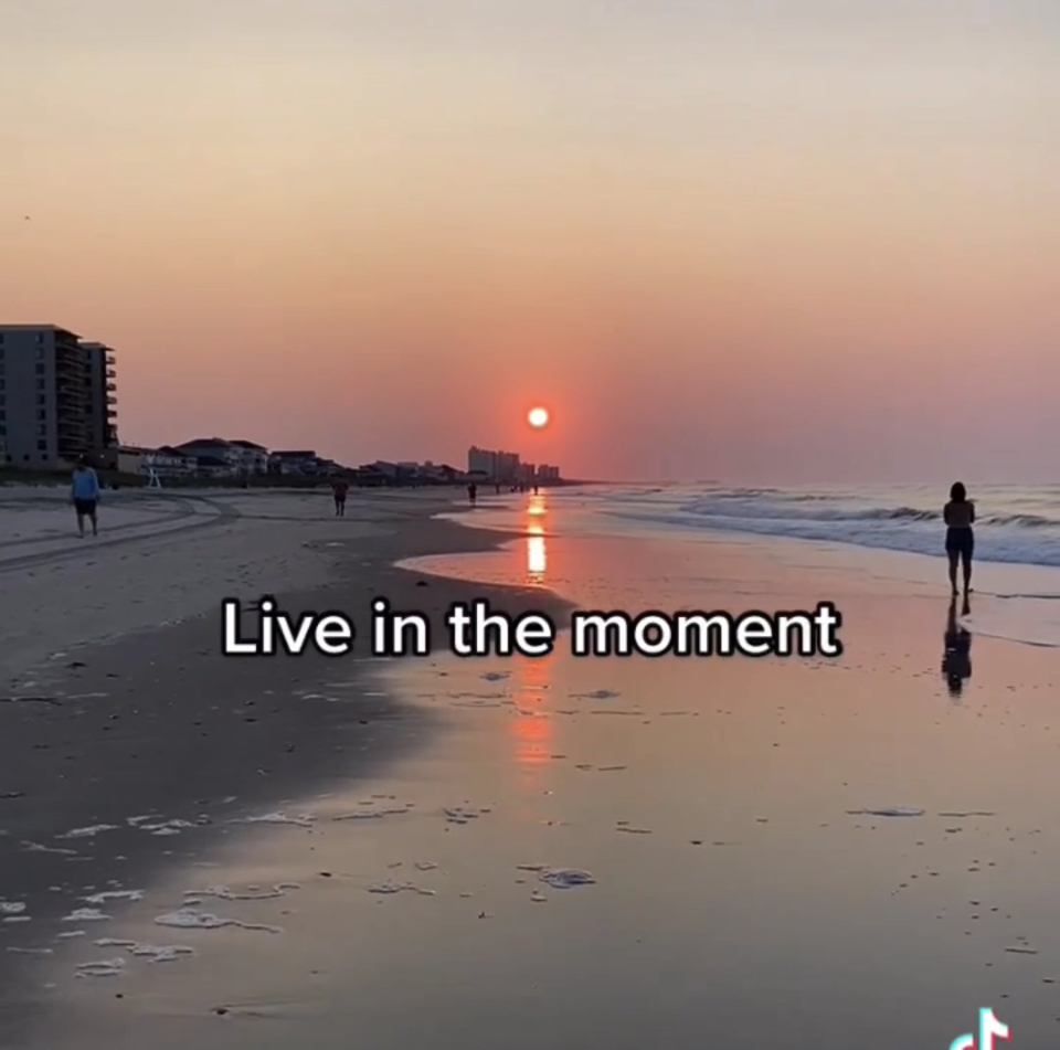 elegant living