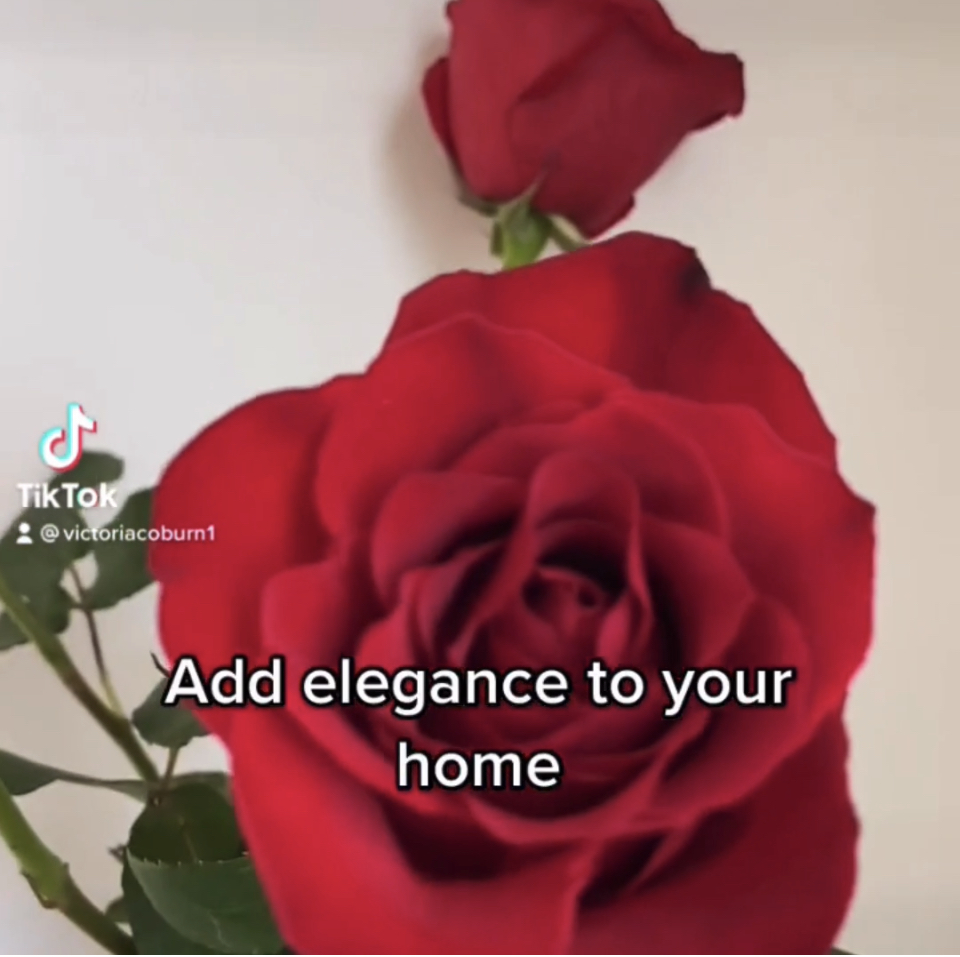 elegant living