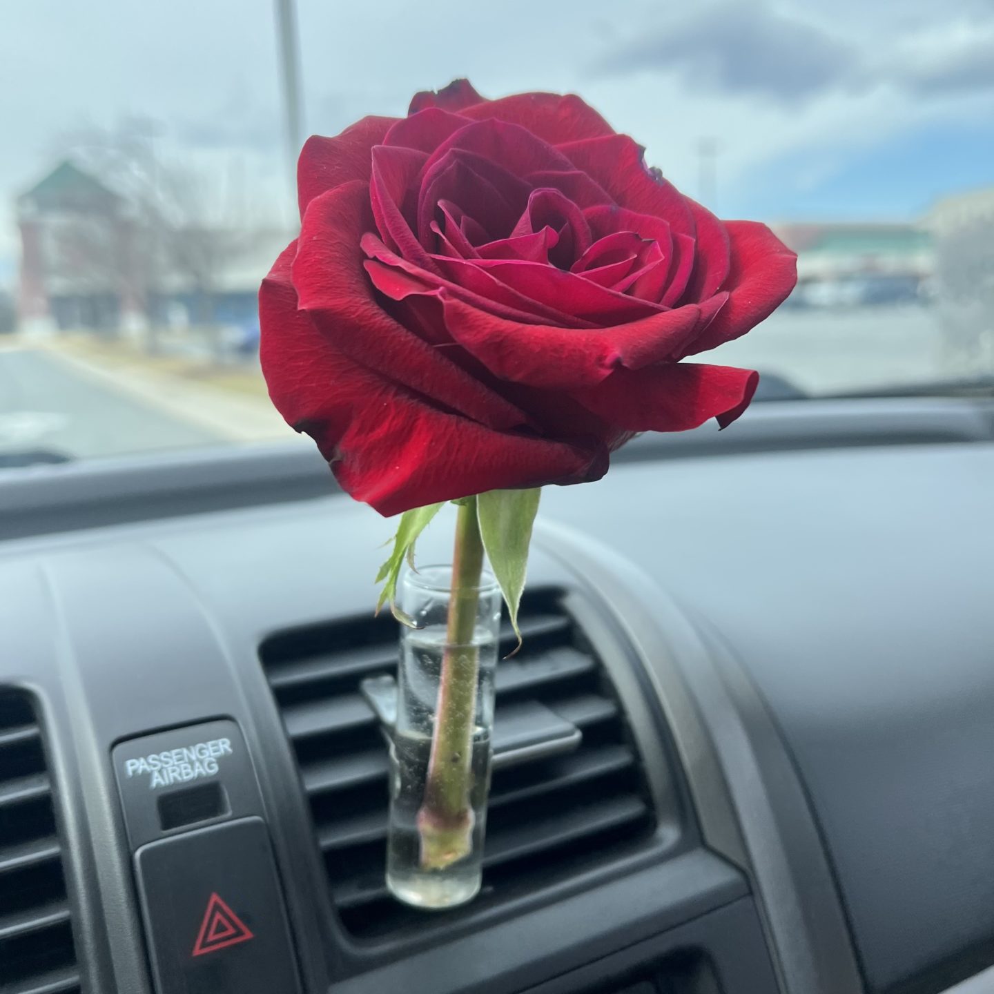 classy girl car essentials